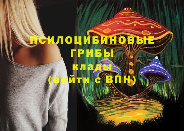 a pvp Арсеньев